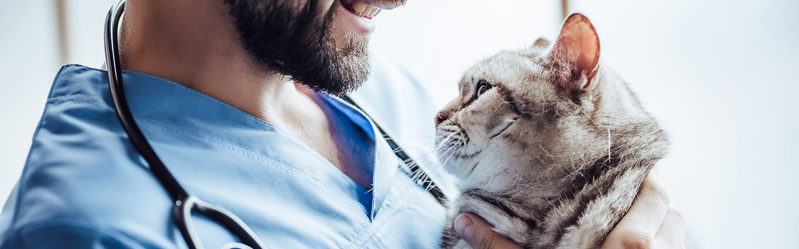 Companion Care Veterinary Clinic Overland Park KS