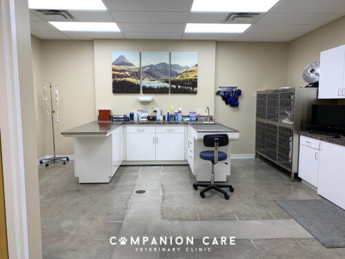 Companion Care Vet Clinic - Overland Park, KS
