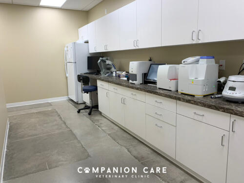 Companion Care Vet Clinic - Overland Park, KS