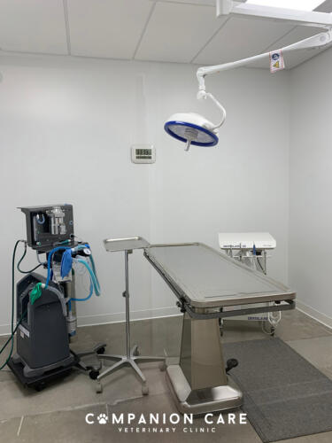 Companion Care Vet Clinic - Overland Park, KS