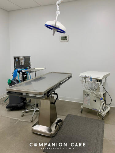 Companion Care Vet Clinic - Overland Park, KS