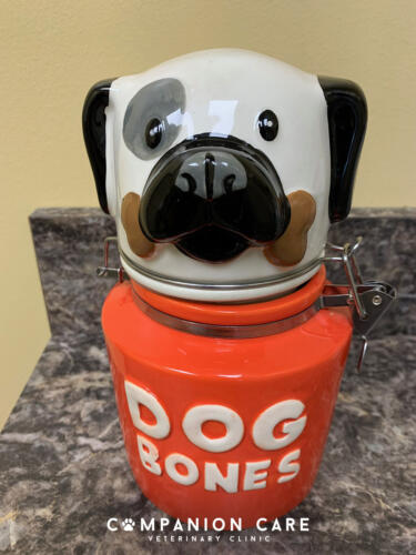 Companion Care Vet Clinic - Overland Park, KS