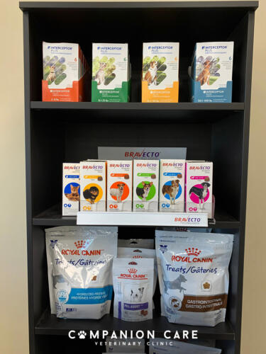 Companion Care Vet Clinic - Overland Park, KS