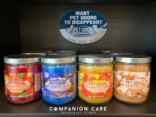 Companion Care Vet Clinic - Overland Park, KS