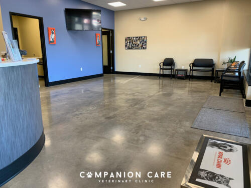 Companion Care Vet Clinic - Overland Park, KS