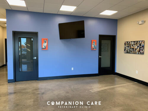 Companion Care Vet Clinic - Overland Park, KS