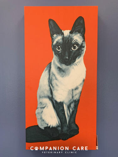 Companion Care Vet Clinic - Overland Park, KS