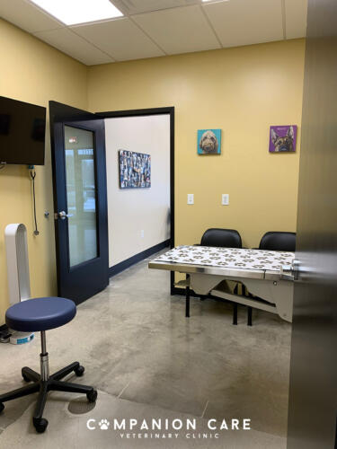 Companion Care Vet Clinic - Overland Park, KS